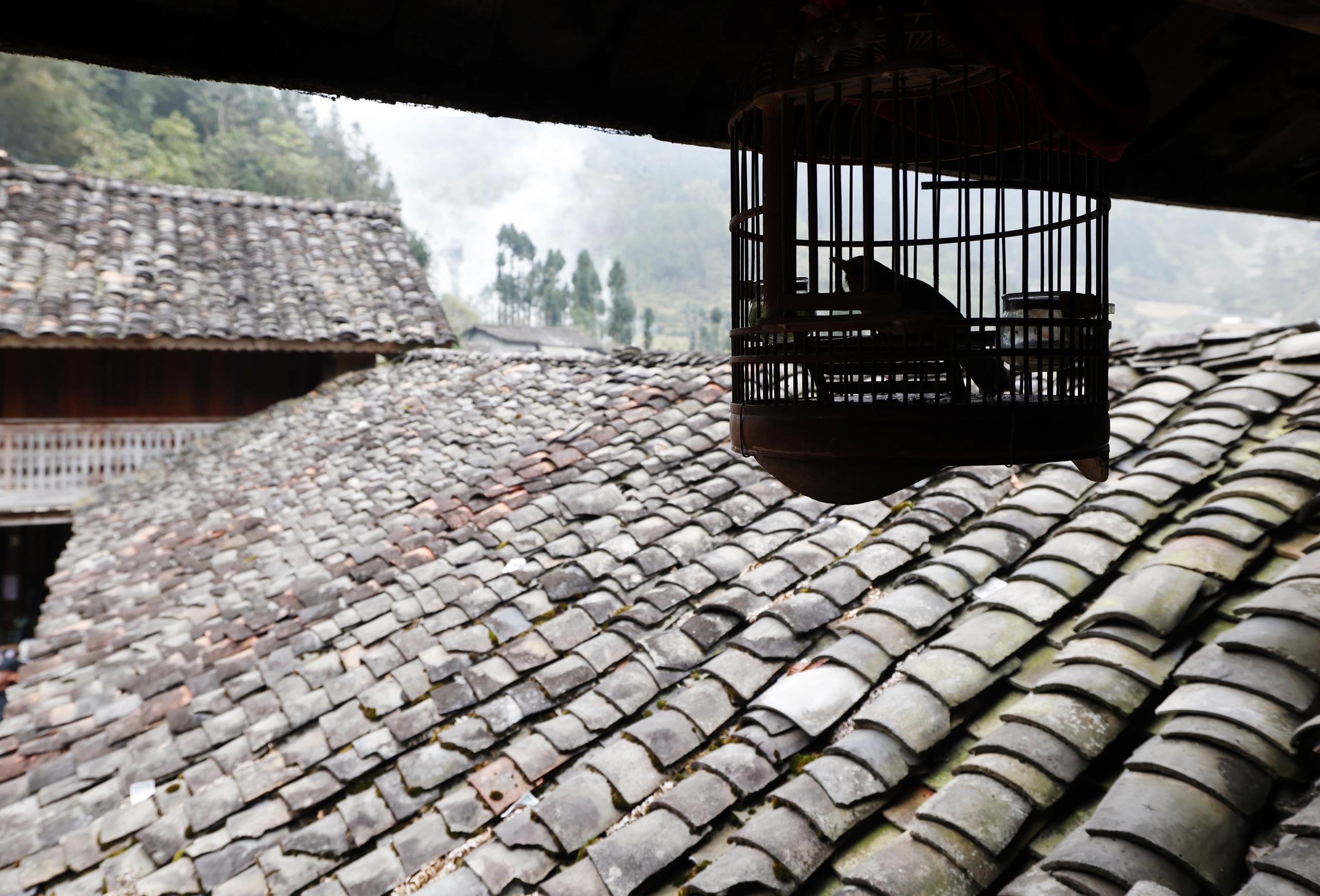 Photo Travel: Lũng Cẩm, ngôi làng cổ giữa miền đá xám- Ảnh 8. Photo Travel: Lũng Cẩm, ngôi làng cổ giữa miền đá xám- Ảnh 8.