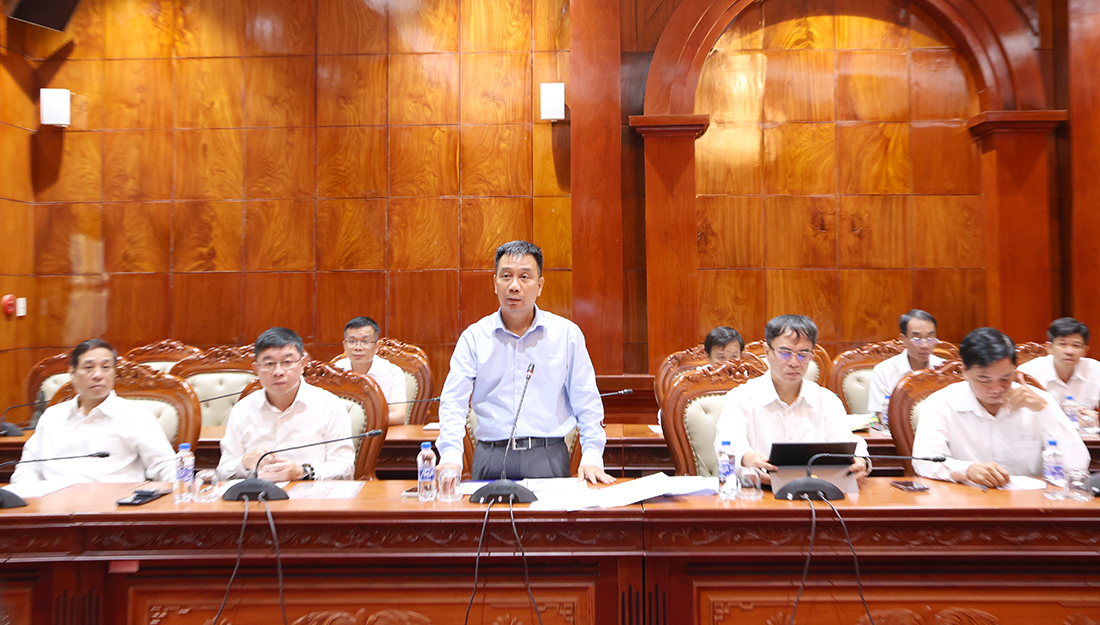 EVNNPT và tỉnh Đồng Tháp thống nhất di dời đường dây 220-500kV giao chéo với cao tốc Cao Lãnh - An Hữu- Ảnh 2.