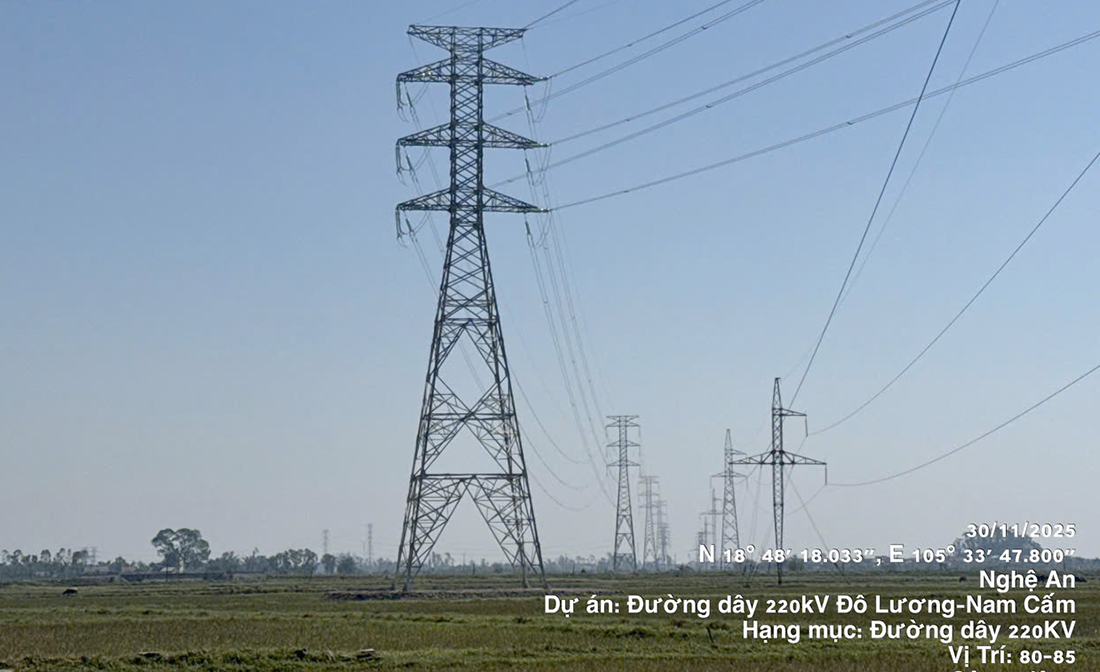 Đóng điện đường dây 220kV Đô Lương - Nam Cấm chào mừng Đại hội V Công đoàn EVNNPT- Ảnh 4.