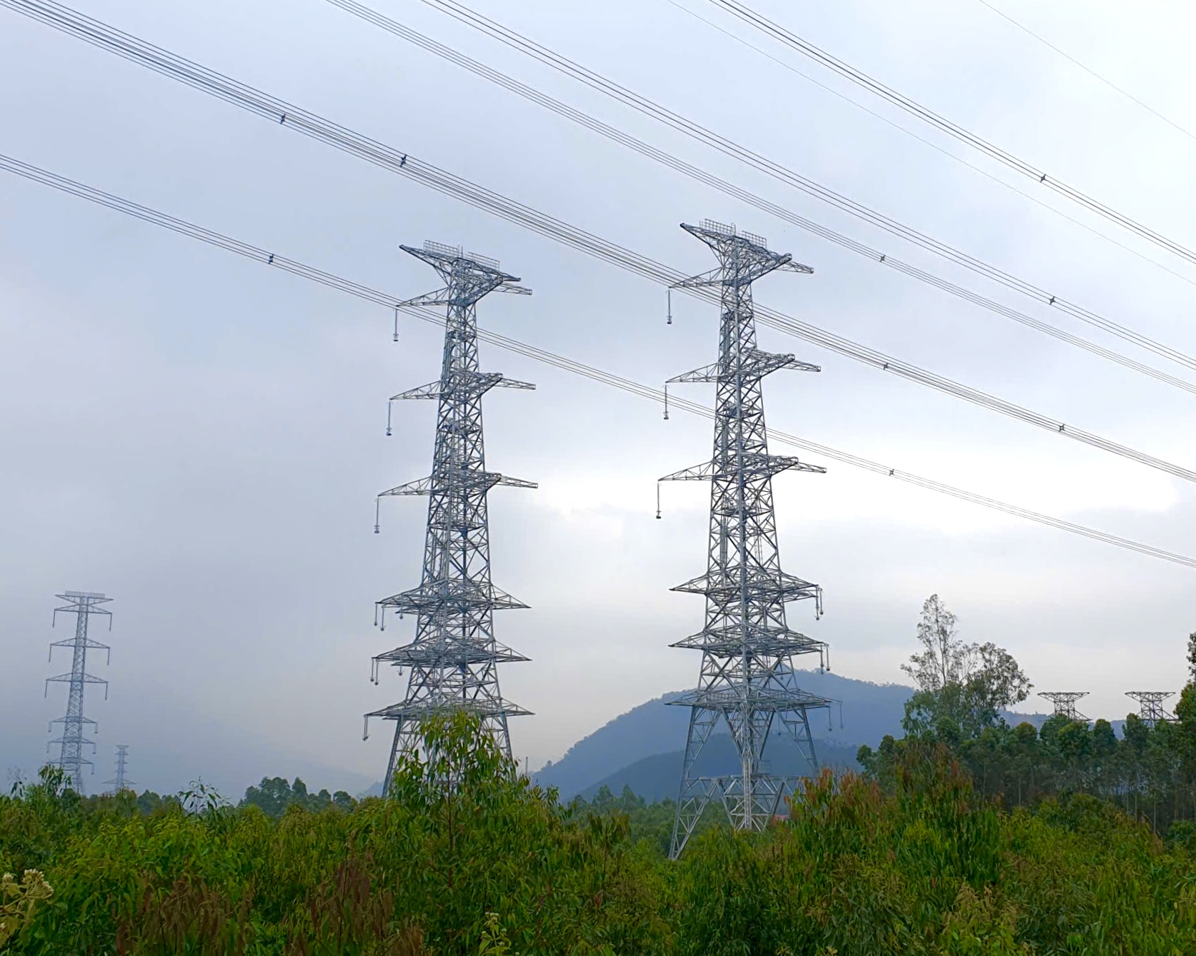 Ban QLDA các công trình điện miền Bắc làm việc với Sở Tư pháp tỉnh Phú Thọ để tháo gỡ vướng mắc giải phóng mặt bằng các dự án truyền tải điện- Ảnh 2.