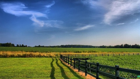 Mới nhất về tiền chuyển đổi đất nông nghiệp sang thổ cư: Đề xuất giảm 70%- Ảnh 2.