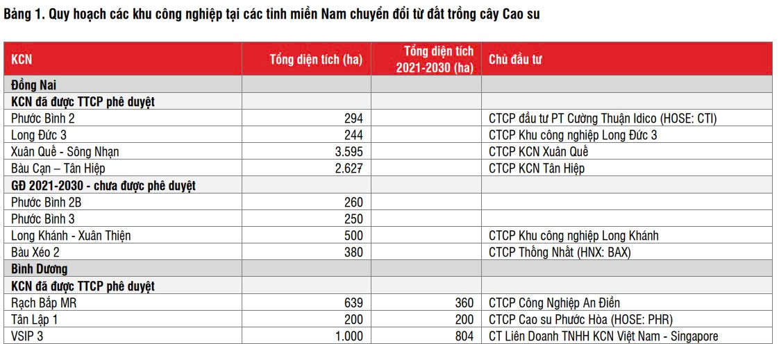 Chuyển đổi đất cao su kém hiệu quả để làm khu công nghiệp tại khu vực Đông Nam Bộ - Bài 1: Khi nguồn lực được "cởi trói"- Ảnh 2.