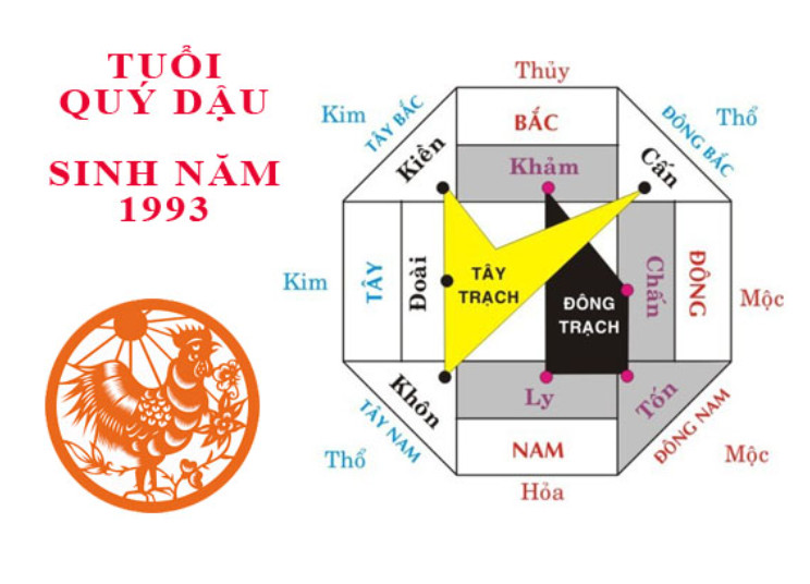 Tuổi Quý Dậu hợp hướng nào? Tư vấn phong thủy cho người sinh năm 1993- Ảnh 2.