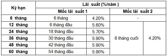 Cập nhật lãi suất ngân hàng Sacombank tháng 03/2025- Ảnh 1.