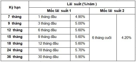 Cập nhật lãi suất ngân hàng Sacombank tháng 03/2025- Ảnh 2.