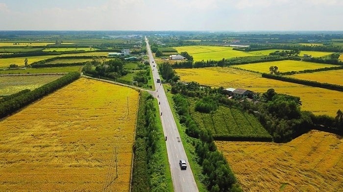 Từ bây giờ, chuyển đất trồng lúa sang đất ở trái phép sẽ chịu hậu quả gì?- Ảnh 1.