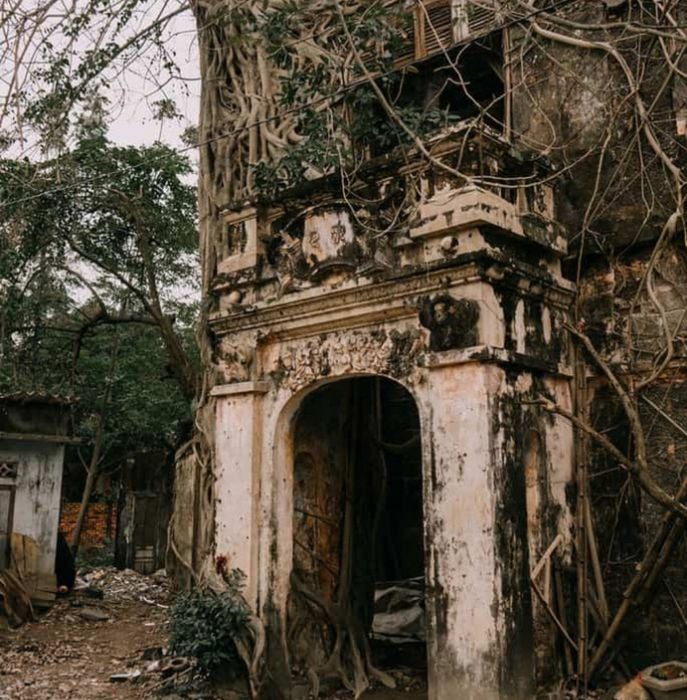 Biệt thự 'ma' giữa lòng cố đô: Tàn tích của một thời hoàng kim, nơi bồ đề trăm tuổi ôm trọn ký ức vương giả dưới triều Nguyễn- Ảnh 3. Biệt thự 'ma' giữa lòng cố đô: Tàn tích của một thời hoàng kim, nơi bồ đề trăm tuổi ôm trọn ký ức vương giả dưới triều Nguyễn- Ảnh 3.