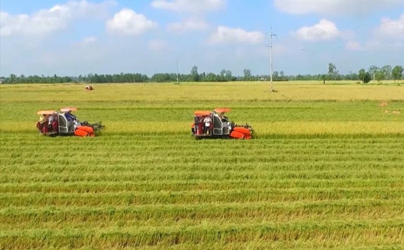 Kể từ nay, phải đáp ứng điều kiện này, người dân mới được chuyển mục đích sử dụng đất nông nghiệp- Ảnh 1.