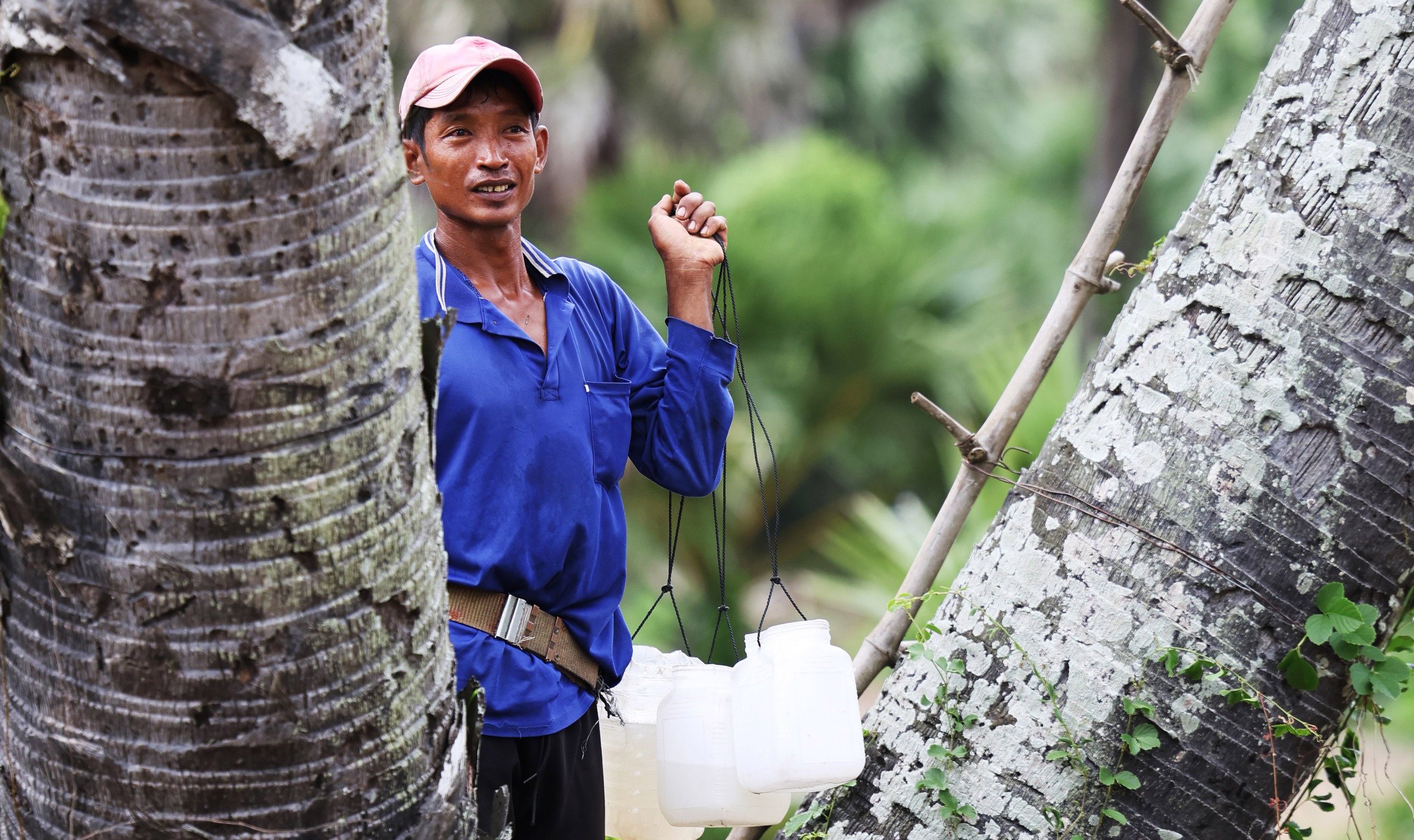 Photo Travel: Mùa "lấy mật giữa lưng chừng trời"- Ảnh 3.