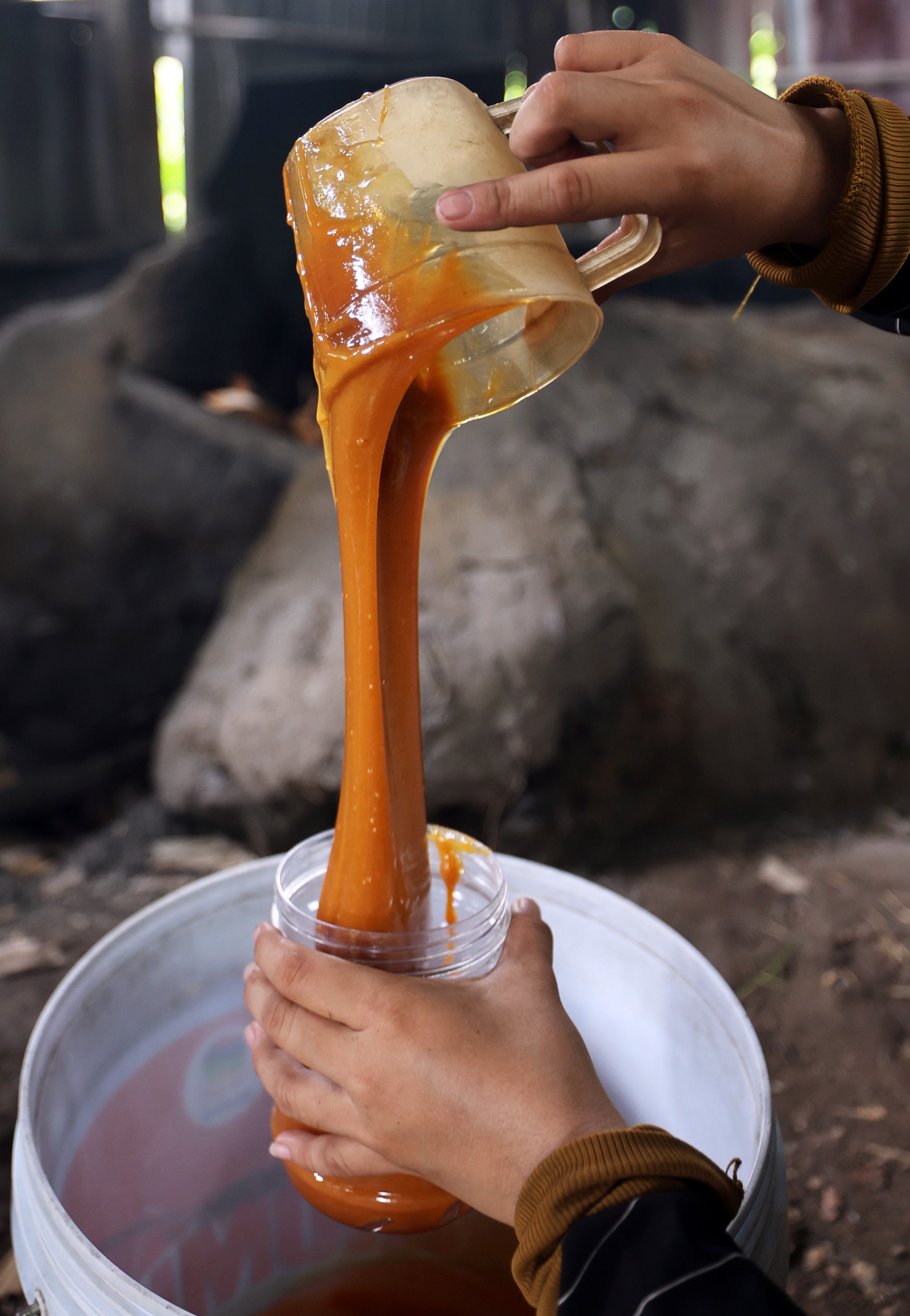 Photo Travel: Mùa "lấy mật giữa lưng chừng trời"- Ảnh 10.