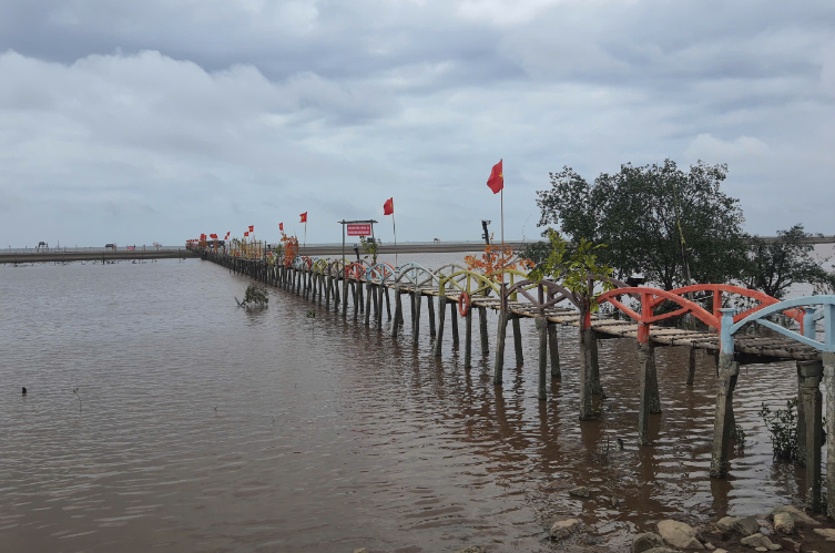 Cầu tre vượt biển dài nhất Việt Nam: Do một cựu chiến binh đề xuất ý tưởng, quá trình thi công vô cùng công phu- Ảnh 1. Cầu tre vượt biển dài nhất Việt Nam: Do một cựu chiến binh đề xuất ý tưởng, quá trình thi công vô cùng công phu- Ảnh 1.