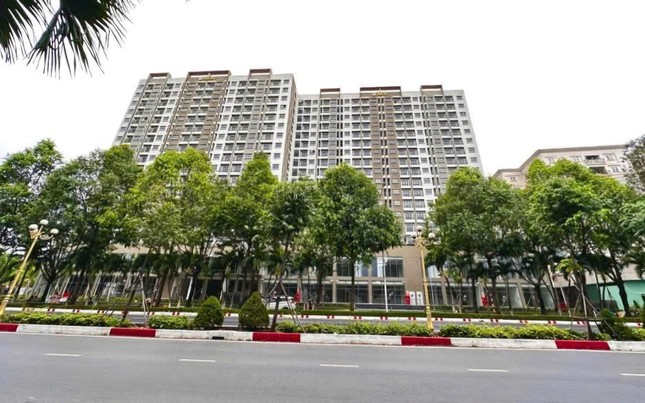 Thanh tra vào cuộc, nhiều người mua nhà ở xã hội đứng trước nguy cơ 'trắng tay'- Ảnh 3.
