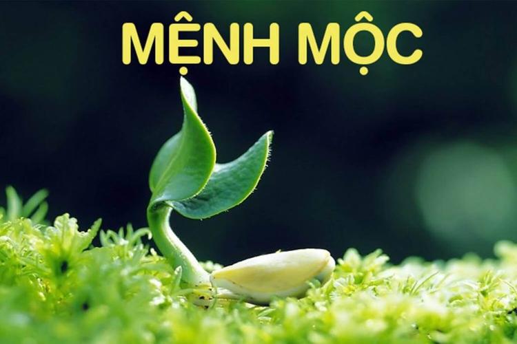 Sinh năm 1988 hợp màu gì khi chọn màu sơn nhà, màu xe, phụ kiện phong thủy?- Ảnh 1.