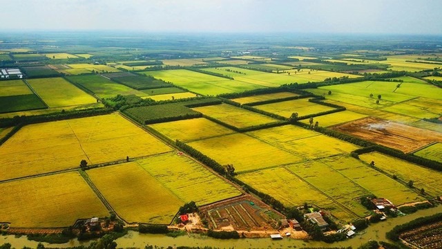Từ bây giờ, một loại đất bị biến thành đất ở sẽ bị phạt tới 400 triệu đồng
- Ảnh 1. Từ bây giờ, một loại đất bị biến thành đất ở sẽ bị phạt tới 400 triệu đồng
- Ảnh 1.