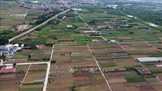 Hà Nội sẽ đấu giá 50 thửa đất tại huyện Mỹ Đức- Ảnh 1. Hà Nội sẽ đấu giá 50 thửa đất tại huyện Mỹ Đức- Ảnh 1.