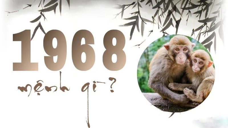 Sinh năm 1968 mệnh gì? Màu sắc, hướng hợp và tử vi tuổi Mậu Thân 1968- Ảnh 1. Sinh năm 1968 mệnh gì? Màu sắc, hướng hợp và tử vi tuổi Mậu Thân 1968- Ảnh 1.