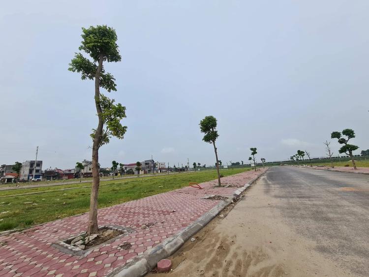 Những diễn biến đáng chú ý của thị trường đất nền Bắc Ninh- Ảnh 1. Những diễn biến đáng chú ý của thị trường đất nền Bắc Ninh- Ảnh 1.