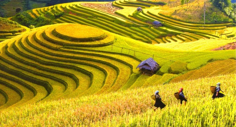 Hành trình bản sắc: Top 5 điểm đến miền Bắc không nên bỏ lỡ cho trải nghiệm văn hóa bản địa- Ảnh 6. Hành trình bản sắc: Top 5 điểm đến miền Bắc không nên bỏ lỡ cho trải nghiệm văn hóa bản địa- Ảnh 6.
