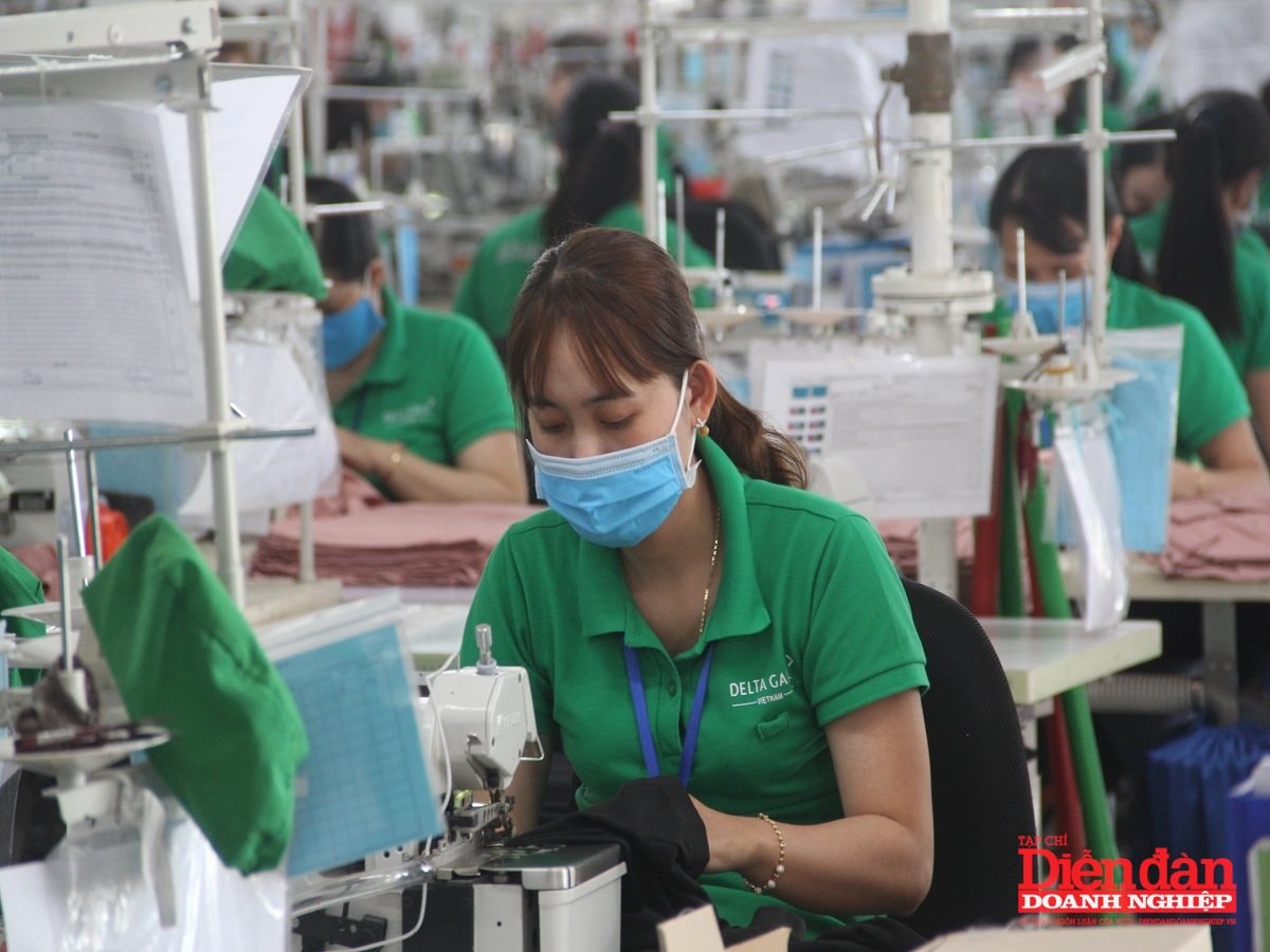 Bình Định tăng cường quỹ đất cho công nghiệp- Ảnh 2. Bình Định tăng cường quỹ đất cho công nghiệp- Ảnh 2.