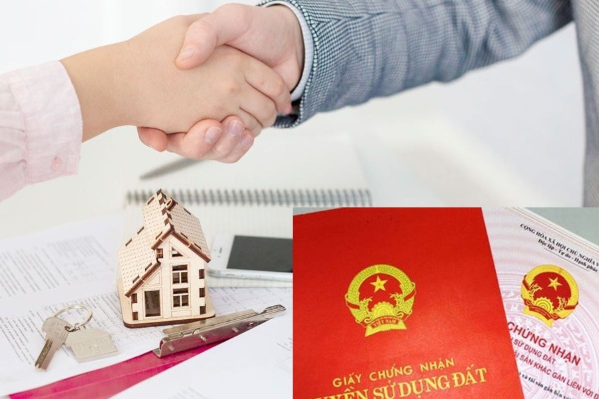 Tại sao nhà cấp 4 được yêu thích? Kinh nghiệm mua nhà cấp 4 giá rẻ- Ảnh 23. Tại sao nhà cấp 4 được yêu thích? Kinh nghiệm mua nhà cấp 4 giá rẻ- Ảnh 23.