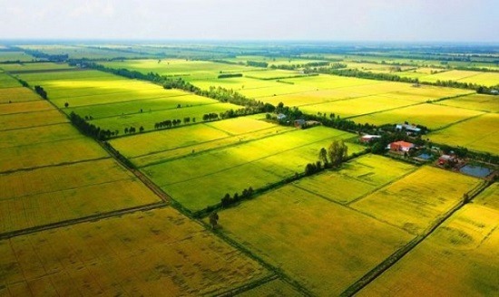 5 trường hợp chuyển mục đích sử dụng đất không cần xin phép theo luật mới nhất- Ảnh 1.