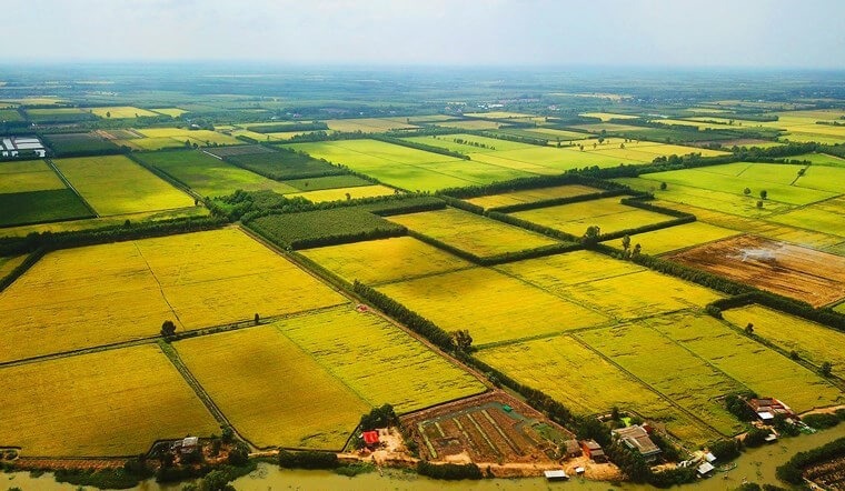 Thủ tướng Chính phủ: Quyền sử dụng đất là yếu tố đầu vào quan trọng cho đầu tư phát triển KT-XH- Ảnh 2.
