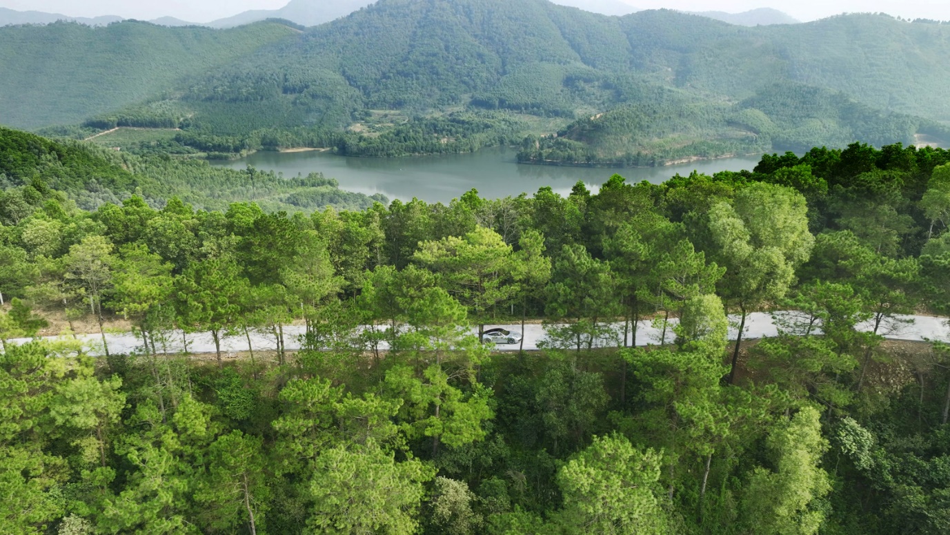 Thanh Xuan Valley, điều kỳ diệu độc bản từ thời gian- Ảnh 2. A road in the middle of a forest AI-generated content may be incorrect.