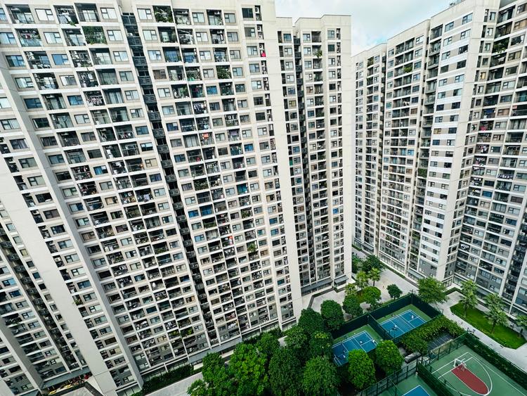 Nhà đầu tư phía Bắc đang “Nam tiến” mạnh mẽ- Ảnh 1. Nhà đầu tư phía Bắc đang “Nam tiến” mạnh mẽ- Ảnh 1.