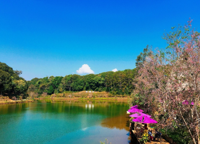'Đà Lạt thứ 2' của Tây Nguyên sẽ trở thành trung tâm du lịch sinh thái, nghỉ dưỡng của cả nước- Ảnh 3. 'Đà Lạt thứ 2' của Tây Nguyên sẽ trở thành trung tâm du lịch sinh thái, nghỉ dưỡng của cả nước- Ảnh 3.