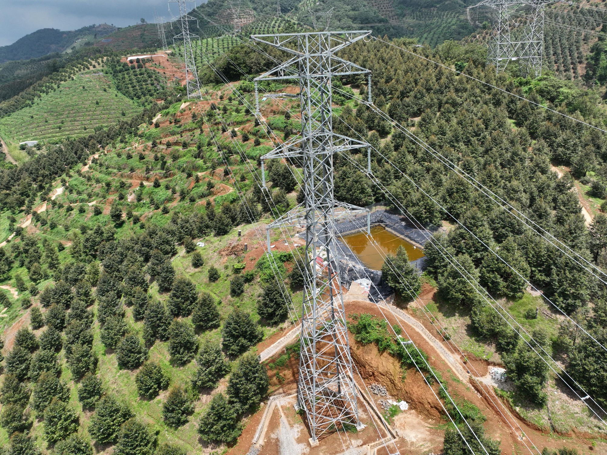 Công trình Đường dây 220kV Bảo Lộc – Định Quán – Sông Mây, góp phần nâng cao đô tin cậy cho lưới điện Quốc gia- Ảnh 2.
