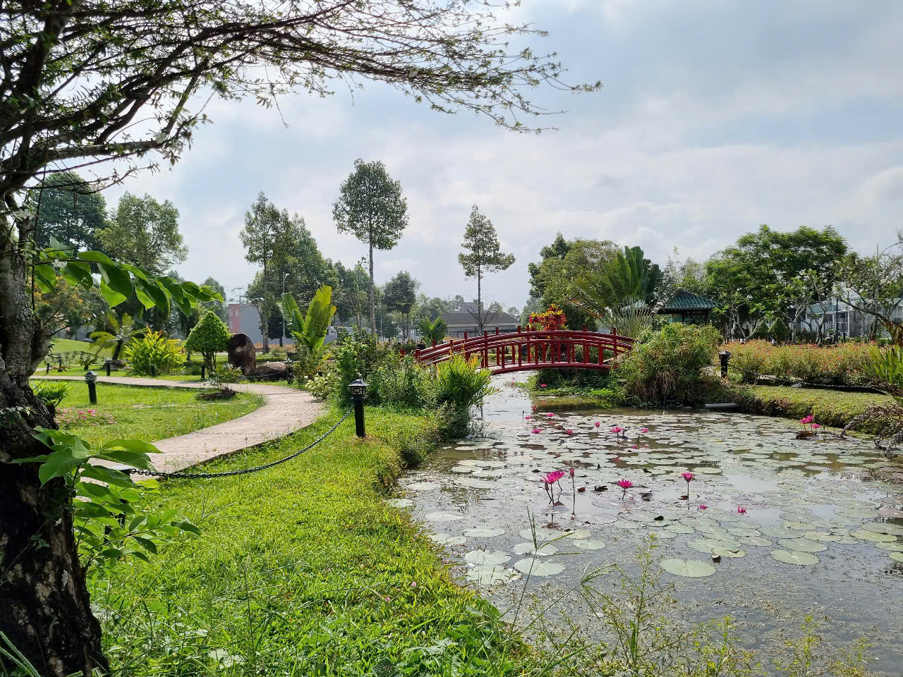 A pond with a bridge and trees  AI-generated content may be incorrect.