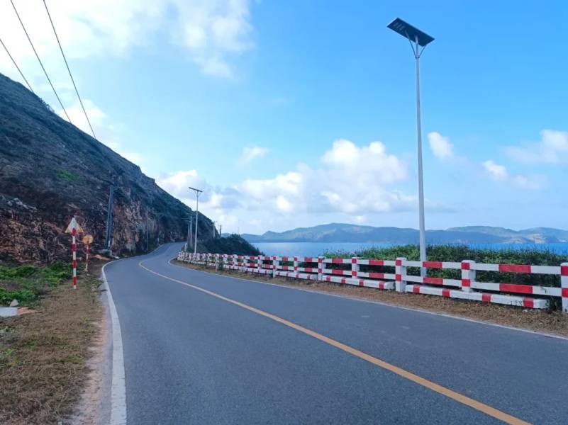 Mê mẩn với cung đường đẹp như tranh vẽ tại đặc khu duy nhất của TP. HCM- Ảnh 5.