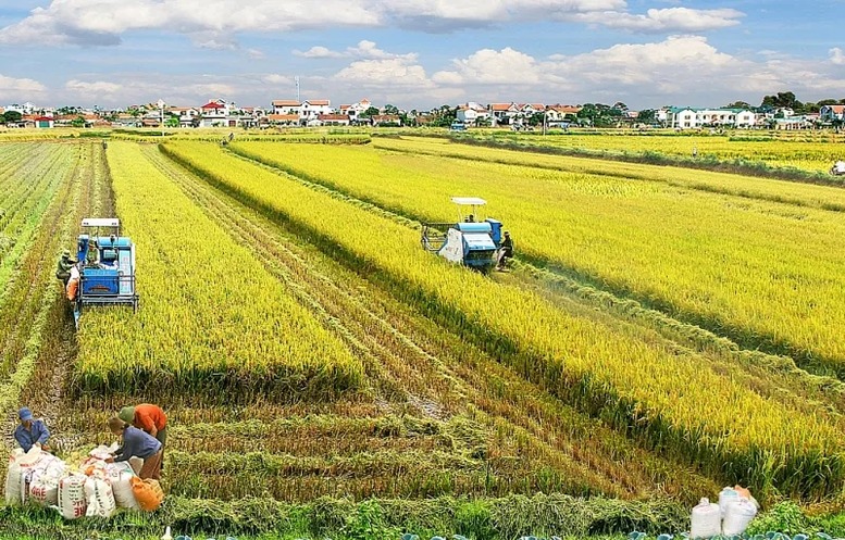 Từ 1/1/2026, nhiều đối tượng được miễn thuế sử dụng đất nông nghiệp thêm 5 năm- Ảnh 1. Từ 1/1/2026, nhiều đối tượng được miễn thuế sử dụng đất nông nghiệp thêm 5 năm- Ảnh 1.