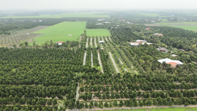 Định giá đất: Tìm điểm cân bằng giữa quản lý và tự do thị trường- Ảnh 1. Định giá đất: Tìm điểm cân bằng giữa quản lý và tự do thị trường- Ảnh 1.