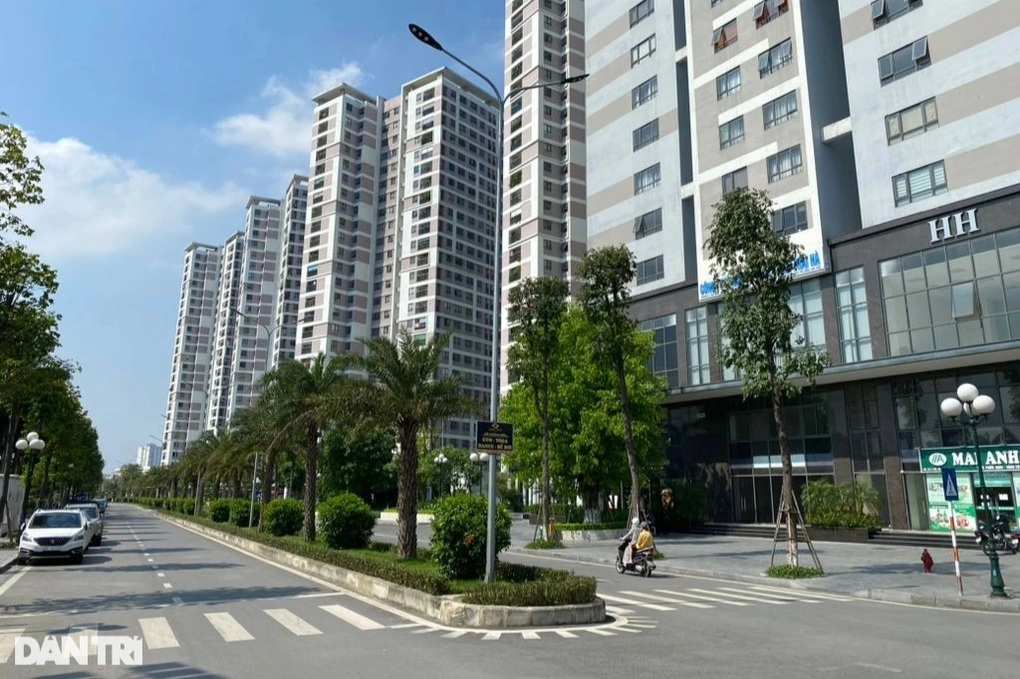 Chuyên gia chỉ ra lý do có thể khiến giá chung cư giảm- Ảnh 2.