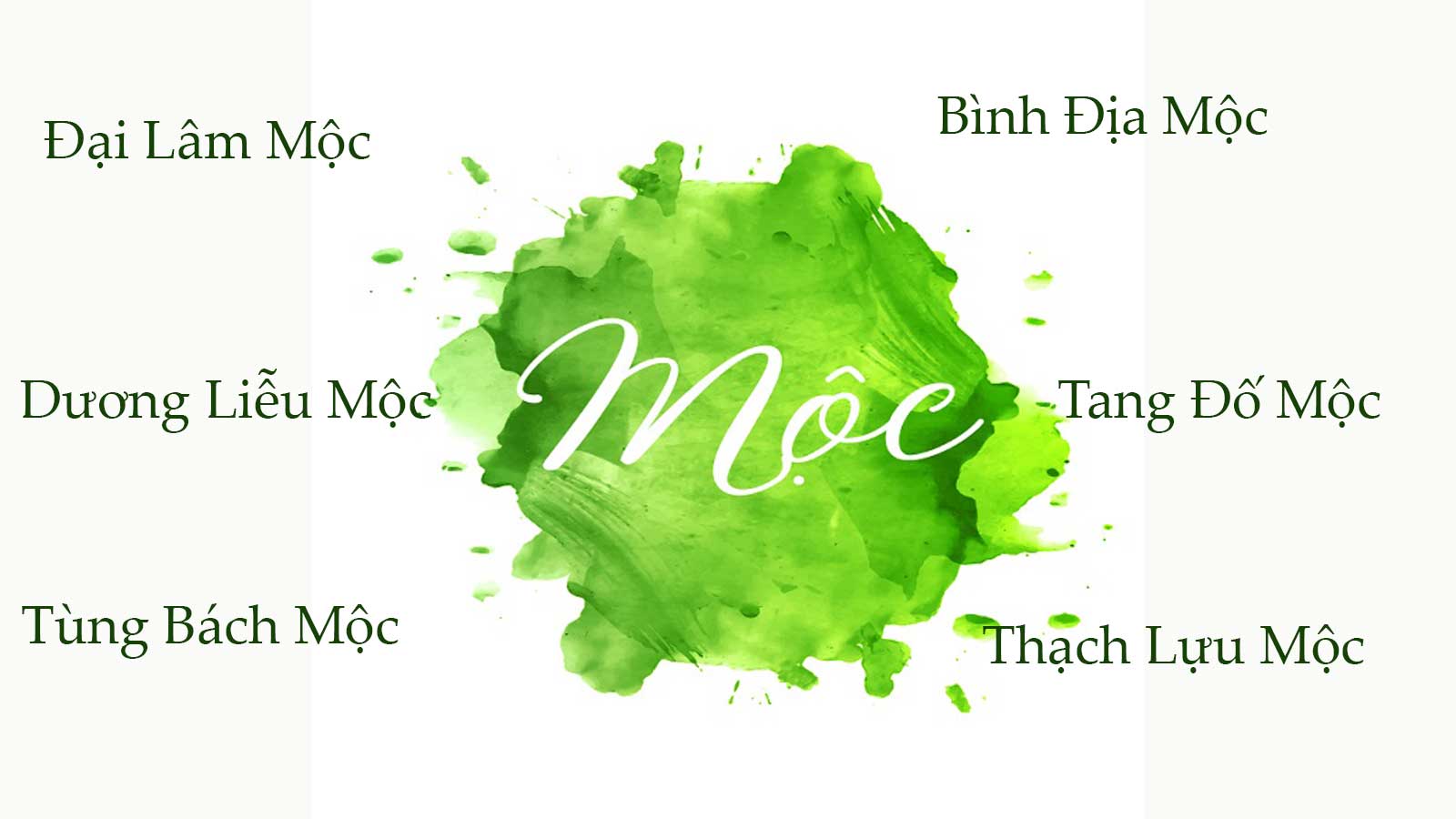 Tùng Bách Mộc là gì? Tại sao đây là mệnh Mộc mạnh nhất?- Ảnh 1.