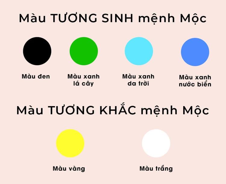 Dương Liễu Mộc: Những điều cần biết để thu hút may mắn và tài lộc- Ảnh 3.
