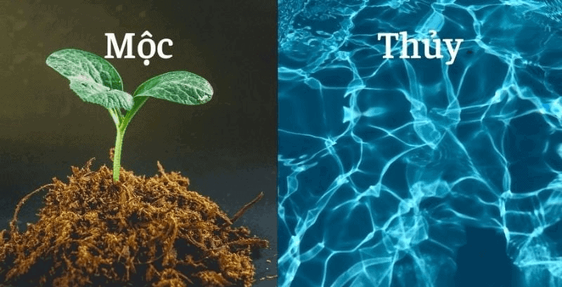 Thiên Hà Thủy - Tính cách, vận mệnh và mối quan hệ tương sinh, tương khắc trong ngũ hành- Ảnh 3.