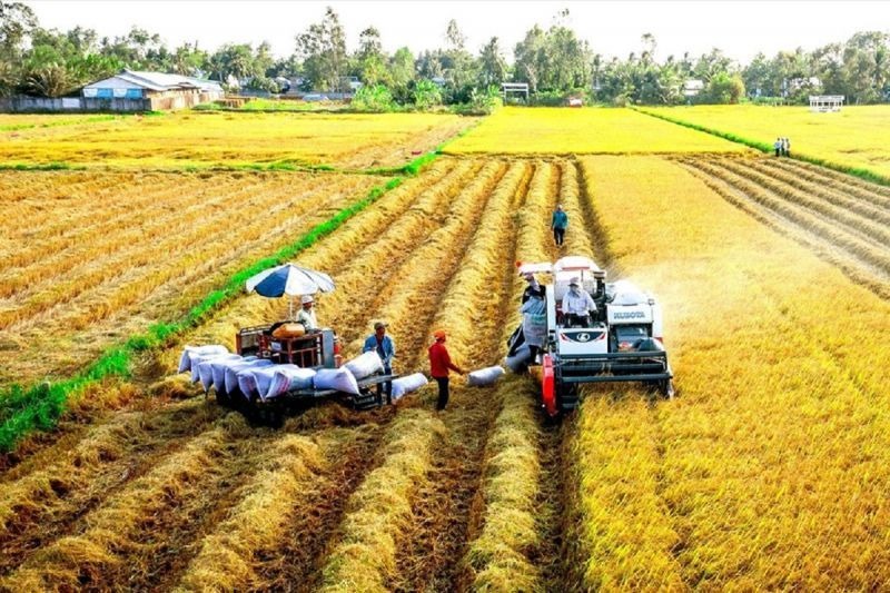 Loạt quy định mới về đất trồng lúa, người dân cần đặc biệt lưu ý- Ảnh 1.