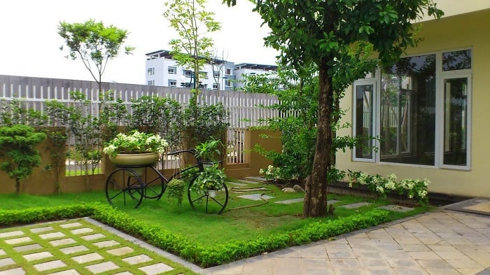 Những loại cây nên trồng trước nhà để cải thiện phong thủy- Ảnh 4.