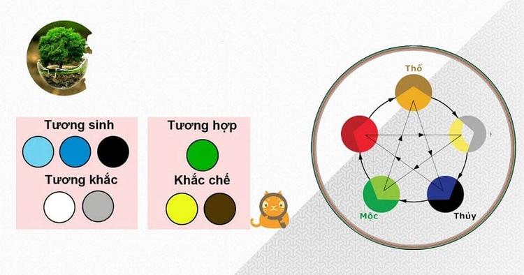 Tang Đố Mộc là gì? Khám phá màu sắc, hướng nhà và vật phẩm may mắn- Ảnh 4. Tang Đố Mộc là gì? Khám phá màu sắc, hướng nhà và vật phẩm may mắn- Ảnh 4.