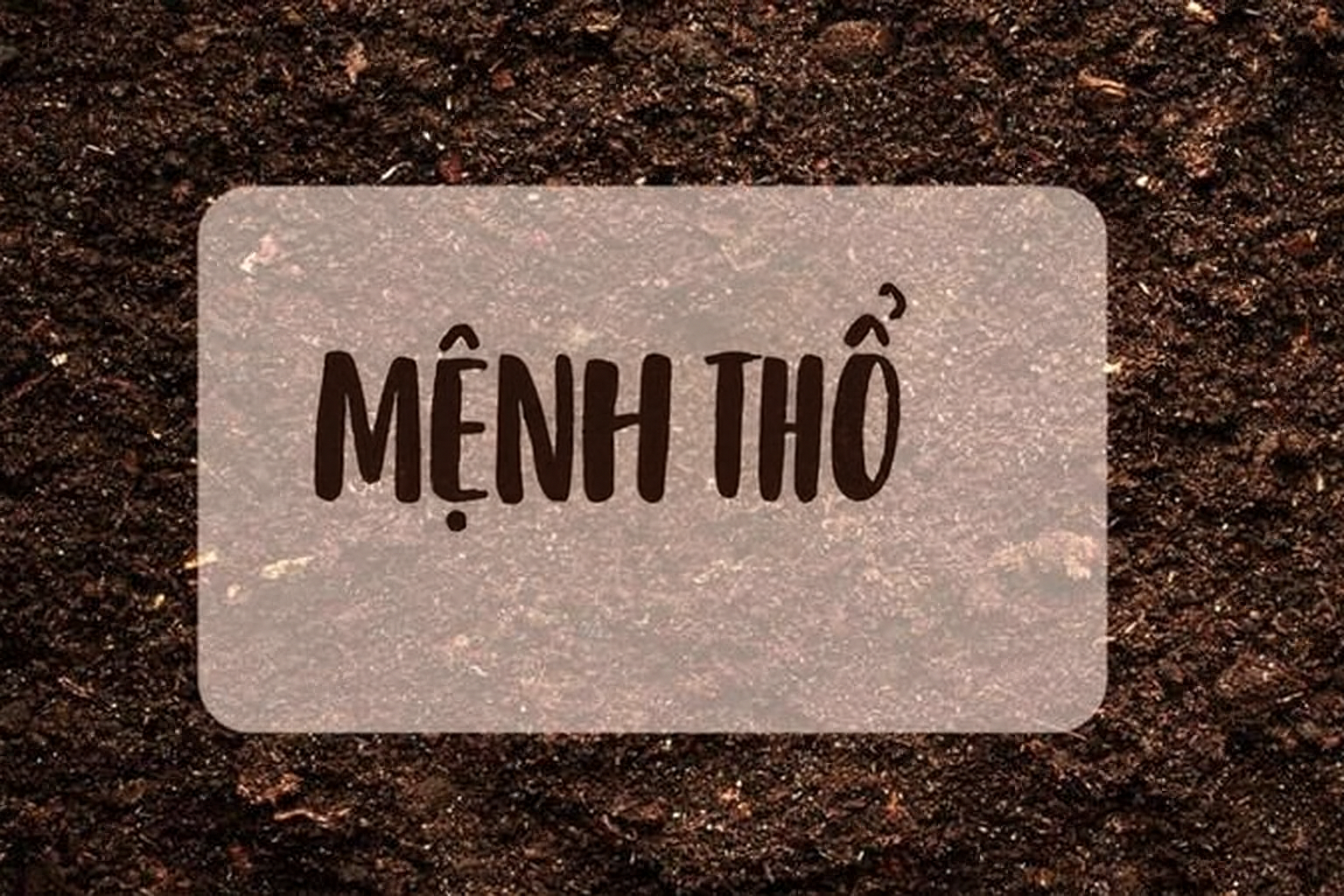 Người mệnh Thổ sinh năm bao nhiêu và cách hút tài lộc cho người mệnh Thổ- Ảnh 1.