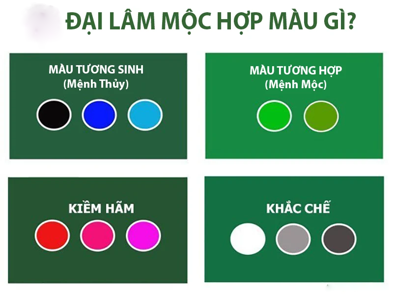 Đại Lâm Mộc là gì? Điểm đặc biệt của mệnh này trong phong thủy, tử vi- Ảnh 3. Đại Lâm Mộc là gì? Điểm đặc biệt của mệnh này trong phong thủy, tử vi- Ảnh 3.