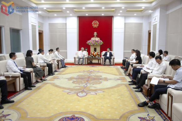 Việt Nam xây dựng hầm vượt biển lớn nhất cả nước, vốn đầu tư gần 10.000 tỷ, được đối tác Trung Quốc của Vingroup ngỏ ý đồng hành- Ảnh 1. Việt Nam xây dựng hầm vượt biển lớn nhất cả nước, vốn đầu tư gần 10.000 tỷ, được đối tác Trung Quốc của Vingroup ngỏ ý đồng hành- Ảnh 1.