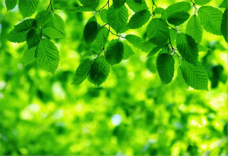 Lư Trung Hỏa là gì? Người mệnh Lư Trung Hỏa hợp mệnh gì, màu gì và hướng nhà nào?- Ảnh 4. Lư Trung Hỏa là gì? Người mệnh Lư Trung Hỏa hợp mệnh gì, màu gì và hướng nhà nào?- Ảnh 4.