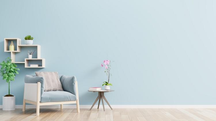 Sinh năm 2003 mệnh Mộc hợp màu gì? Bật mí màu sắc may mắn cho tuổi Quý Mùi- Ảnh 3. Sinh năm 2003 mệnh Mộc hợp màu gì? Bật mí màu sắc may mắn cho tuổi Quý Mùi- Ảnh 3.