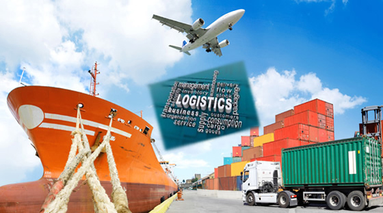 Yếu tố cảng biển – trụ cột nâng tầm bất động sản công nghiệp Việt Nam- Ảnh 3.