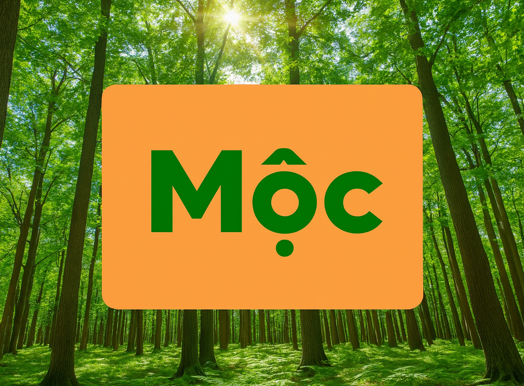 15 cây phong thủy hợp mệnh Mộc giúp gia chủ hút tài lộc, vượng khí- Ảnh 1.