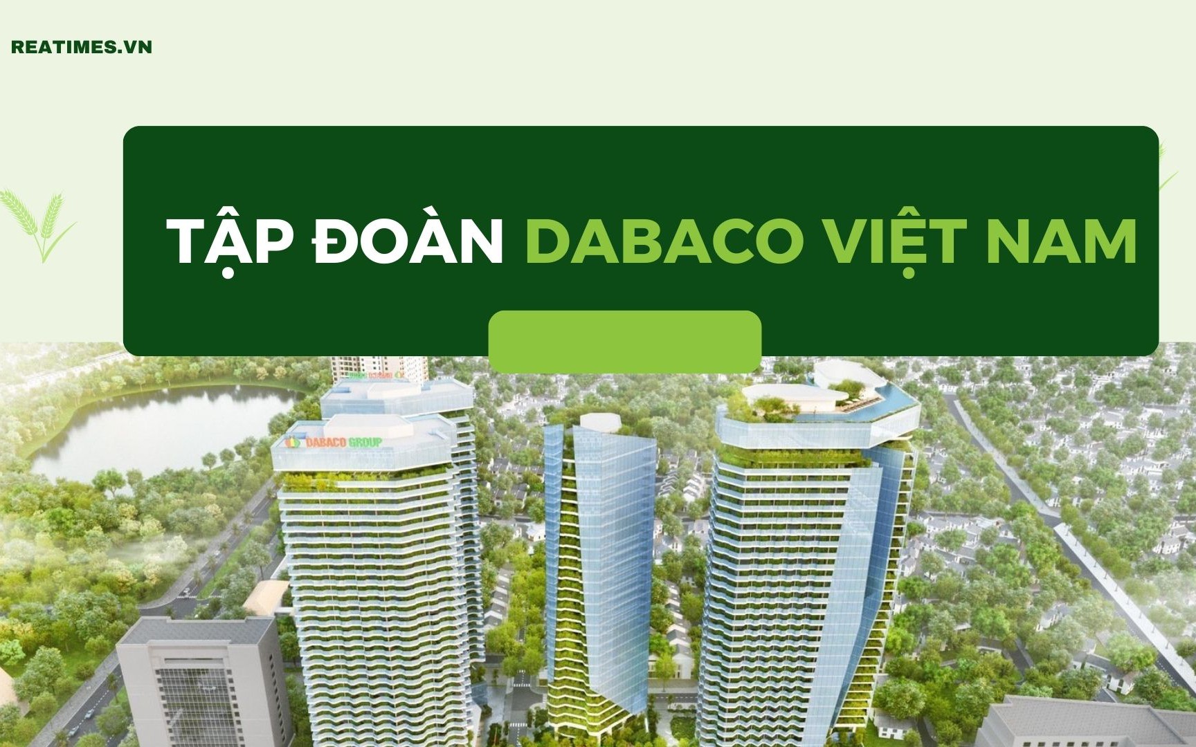 Dabaco (DBC) dự chi 2.700 tỷ đồng xây trung tâm thương mại và chung cư cao cấp tại Bắc Ninh- Ảnh 1. Tập đoàn Dabaco Việt Nam: Từ vị thế dẫn đầu ngành chăn nuôi đến khát vọng nâng tầm nông nghiệp Việt