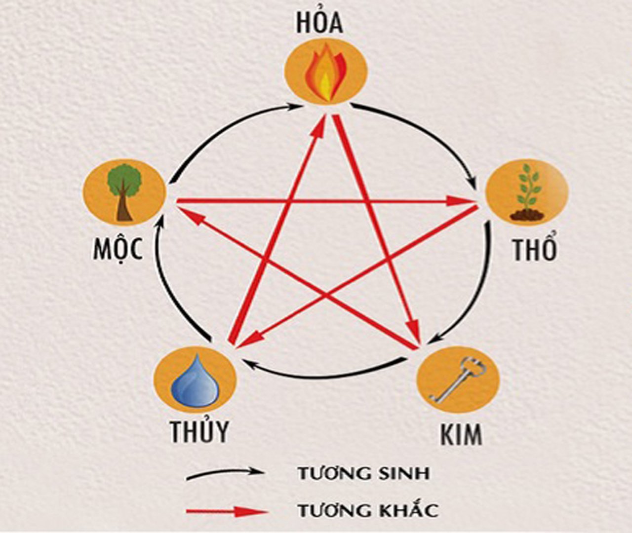 Mệnh Mộc hợp mệnh gì? Hé lộ bí mật phong thủy và tử vi mệnh Mộc- Ảnh 3.